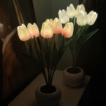 Tulip Lamp – ASTRONORD